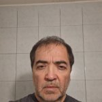 mauro_26