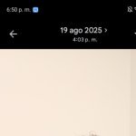 Cesardar488888